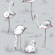 Flamingos (112-11040)